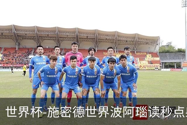 世界杯-施密德世界波阿瑙读秒点射破门 奥地利3-1约旦