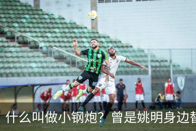 什么叫做小钢炮？曾是姚明身边替补！20年NBA赚2.82亿