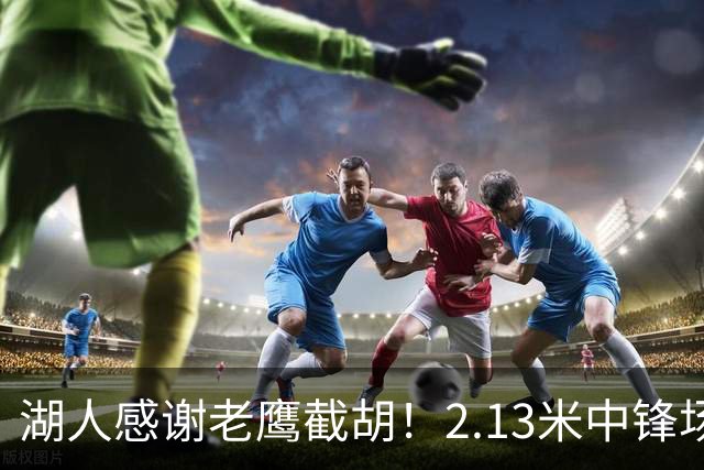 湖人感谢老鹰截胡！2.13米中锋场均8+4远低预期 萨总930万亏哭了