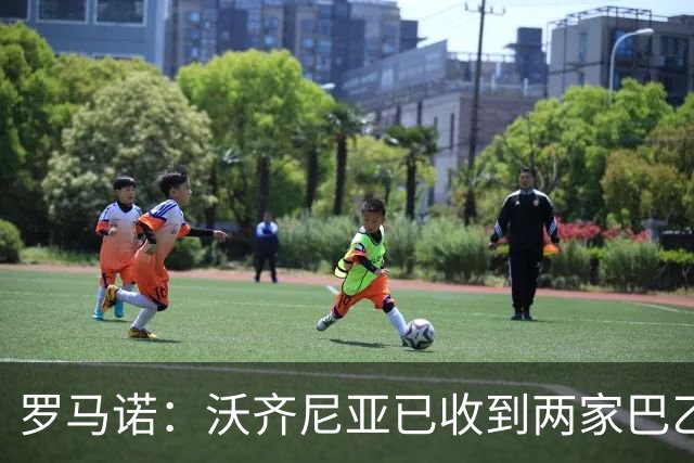 罗马诺：沃齐尼亚已收到两家巴乙俱乐部报价，目前他是自由身