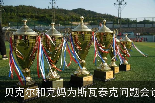 贝克尔和克妈为斯瓦泰克问题会诊想法相左，辛纳是2.0版德约？
