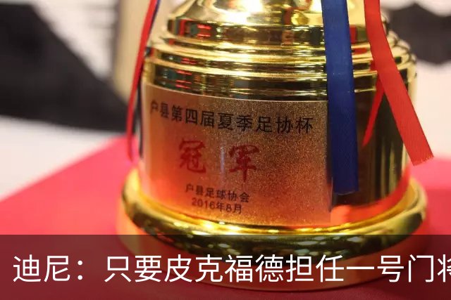迪尼：只要皮克福德担任一号门将，英格兰将无法夺得世界杯冠军