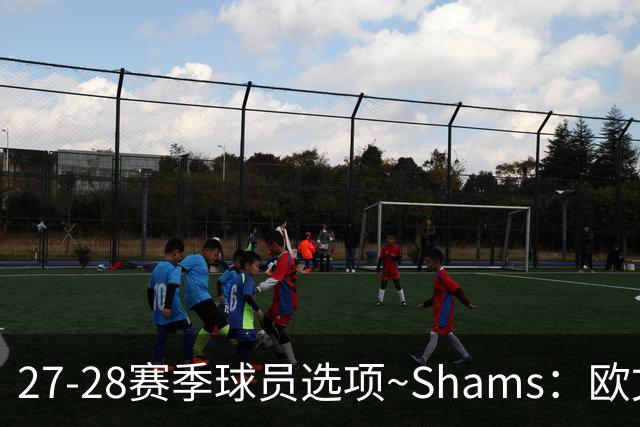 27-28赛季球员选项~Shams：欧文下赛季甚至之后都可能留在独行侠
